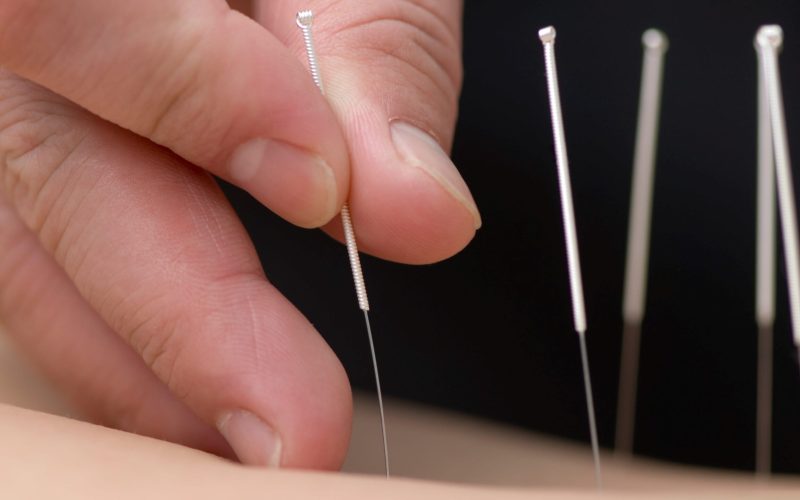 Needles on back (compressed)